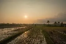 Hotel Sotis Canggu Dalung (Bali)
